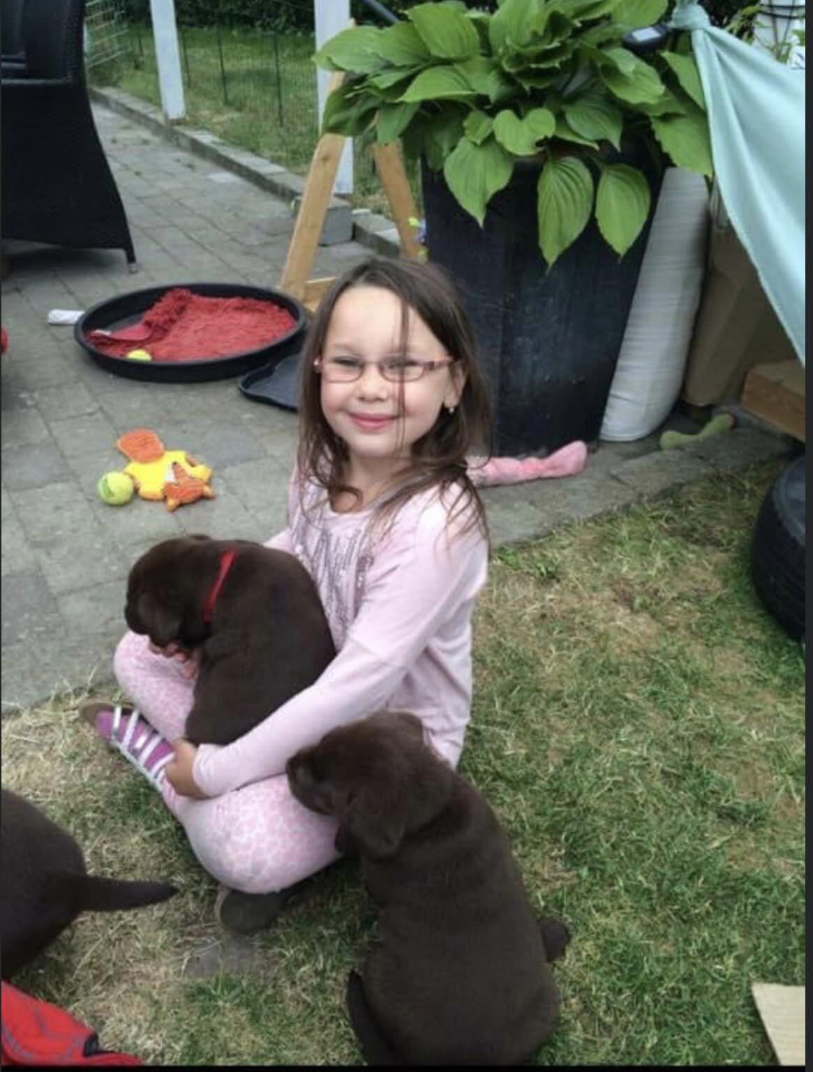 stemning billeder Kennel Cap De Lab